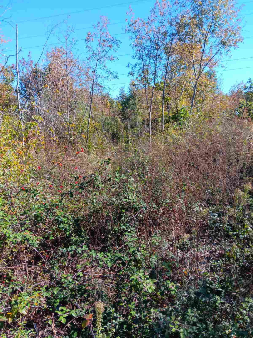 Terreno BARBAN, 10.500 €