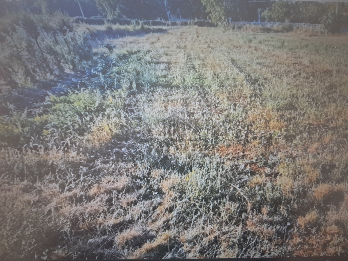 Terreno BARBAN, 53.000 €