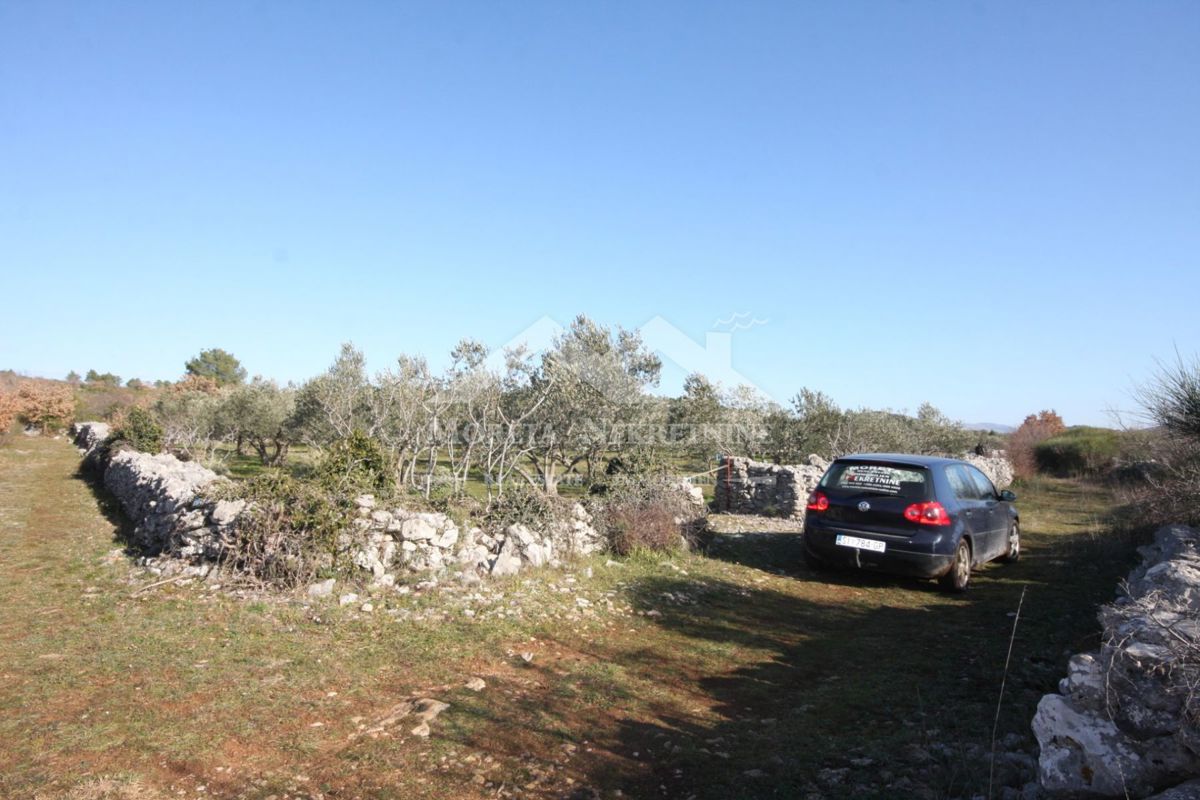 VODICE