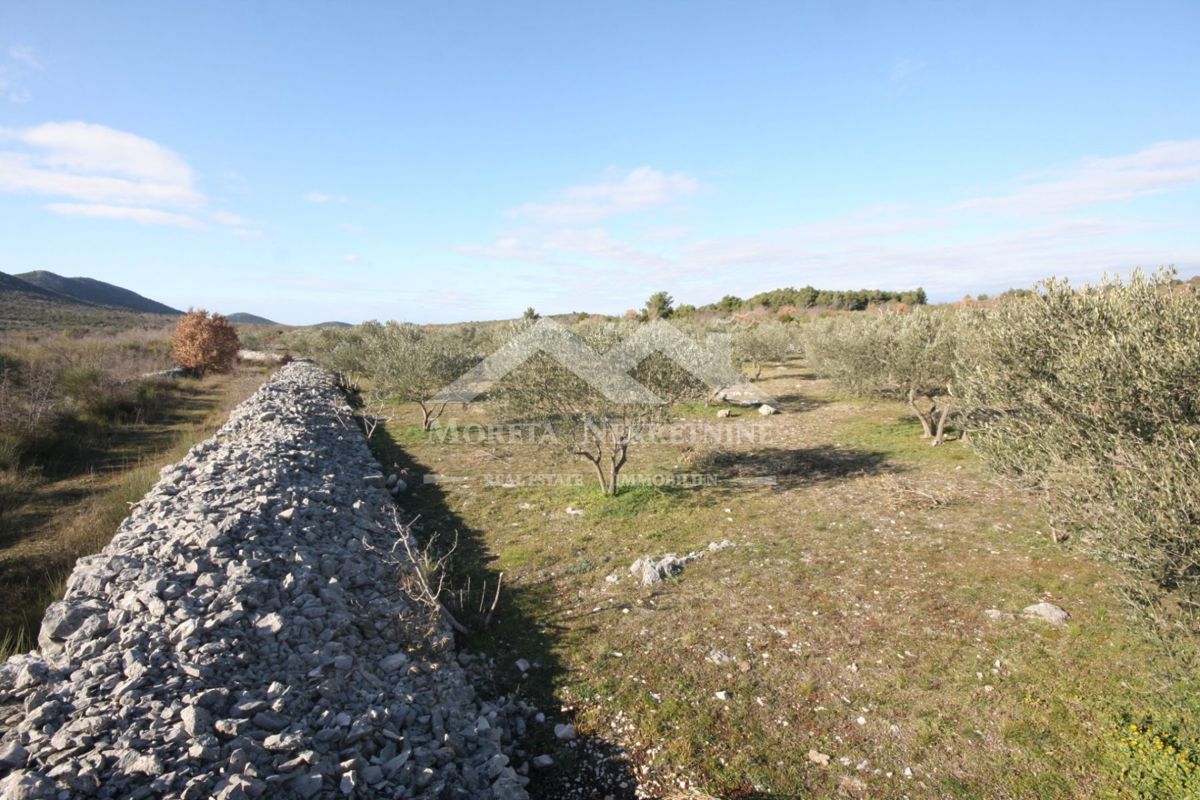 Terreno VODICE, 9 €