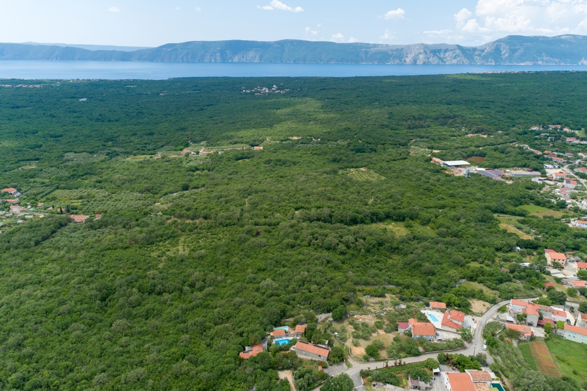 BAJČIĆI