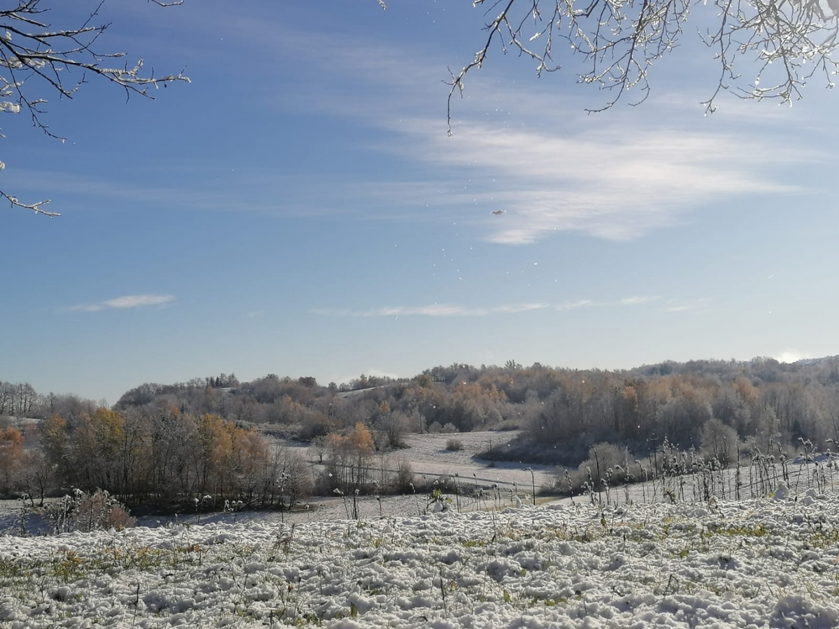 Участок OZALJ, 25.000 €