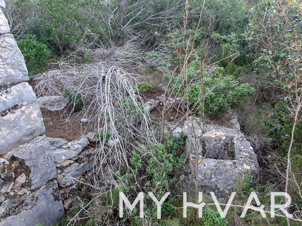 image 14