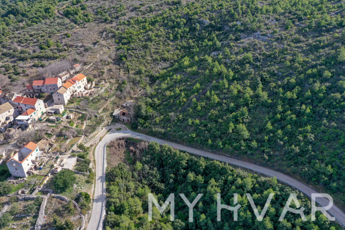 SELCA KOD STAROG GRADA