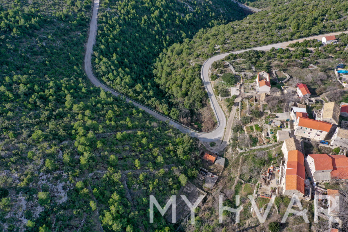 SELCA KOD STAROG GRADA