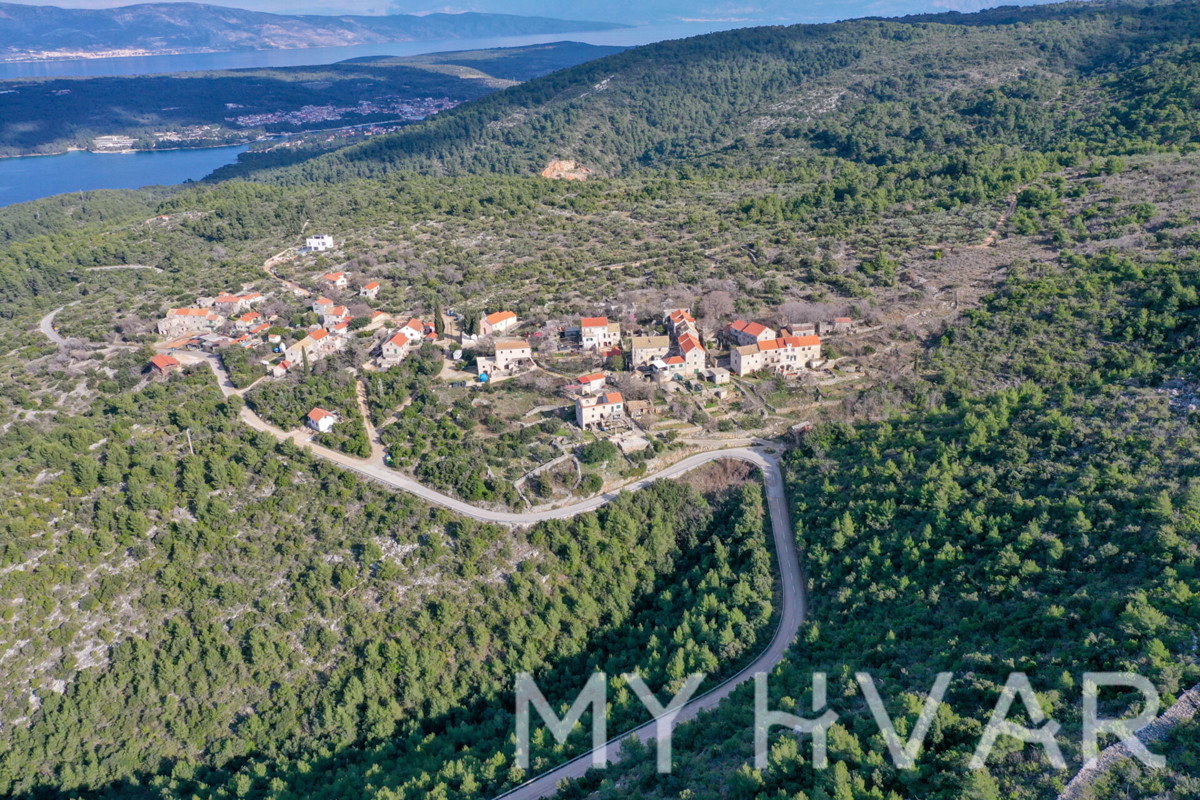 SELCA KOD STAROG GRADA