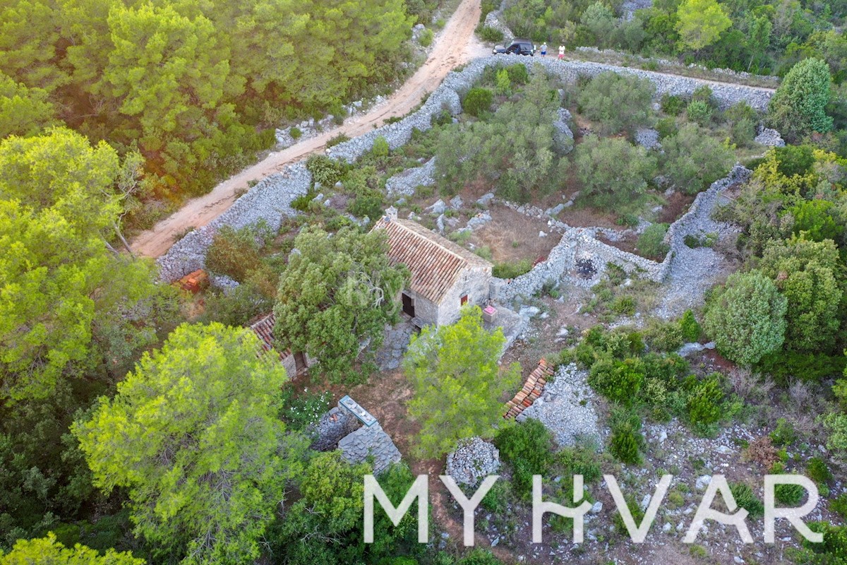 STARI GRAD