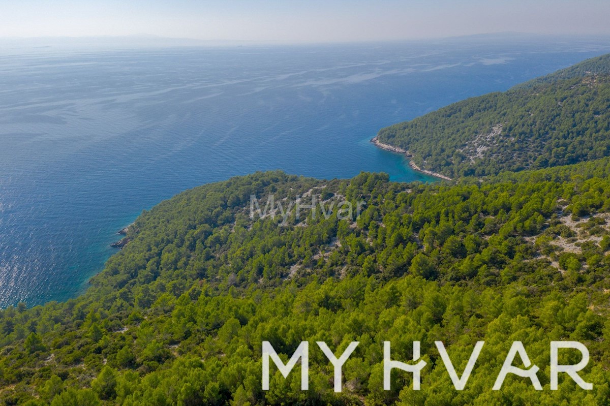 GDINJ