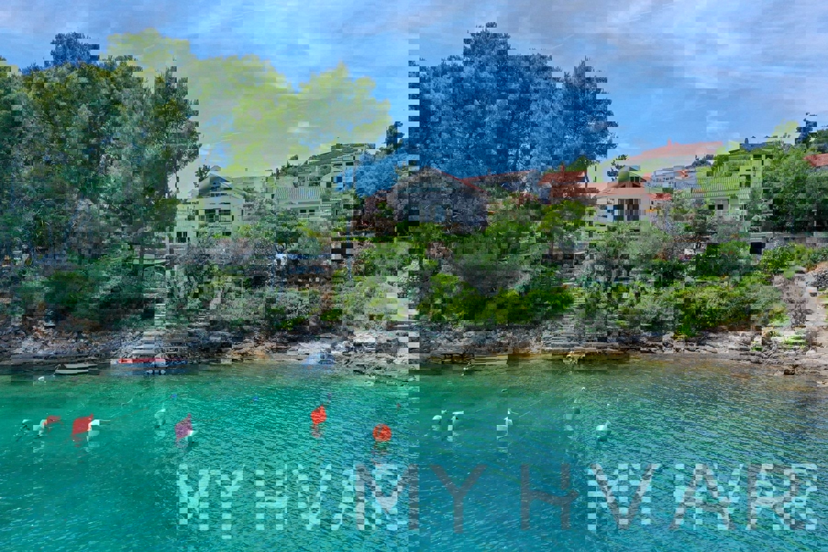 JELSA