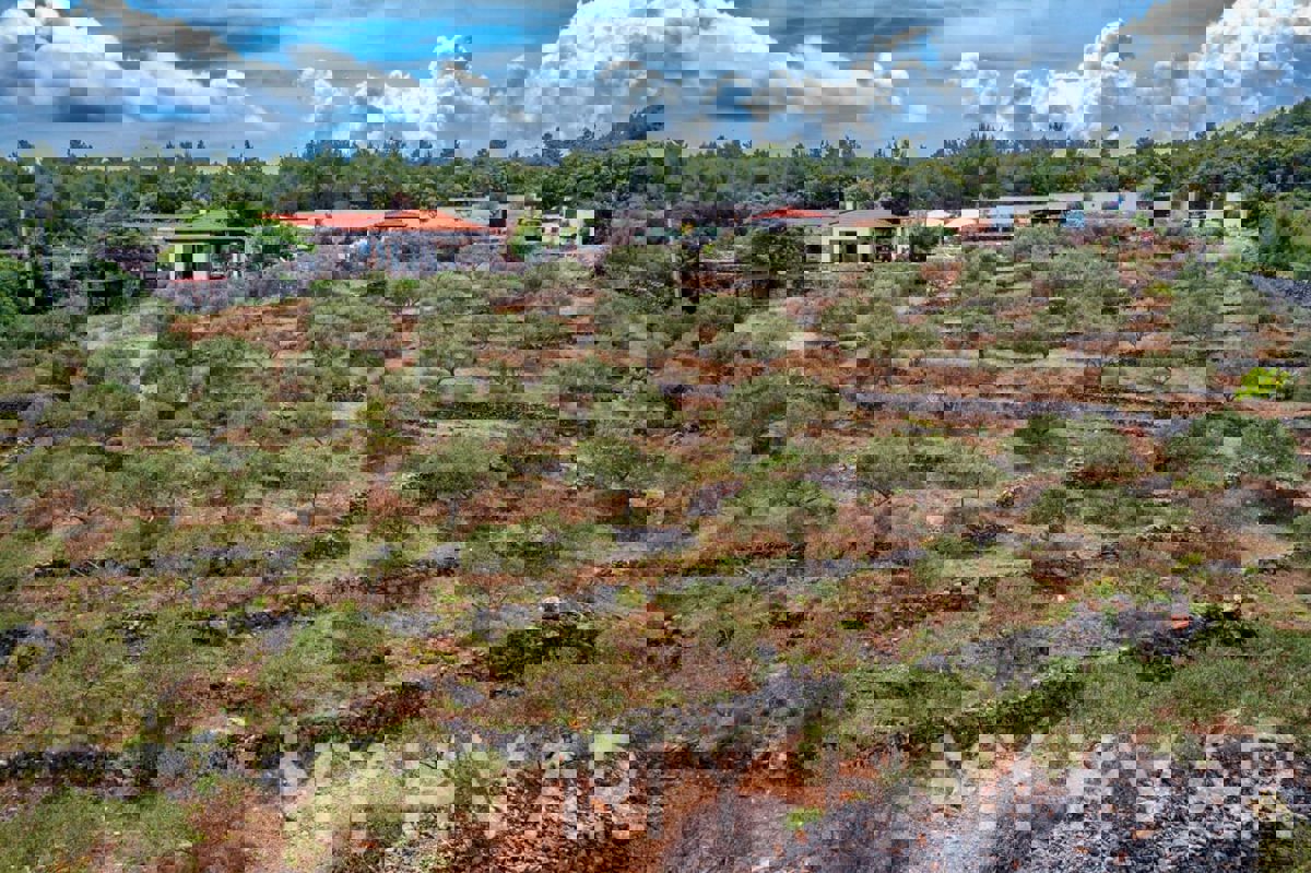 Casa JELSA, 625.000 €