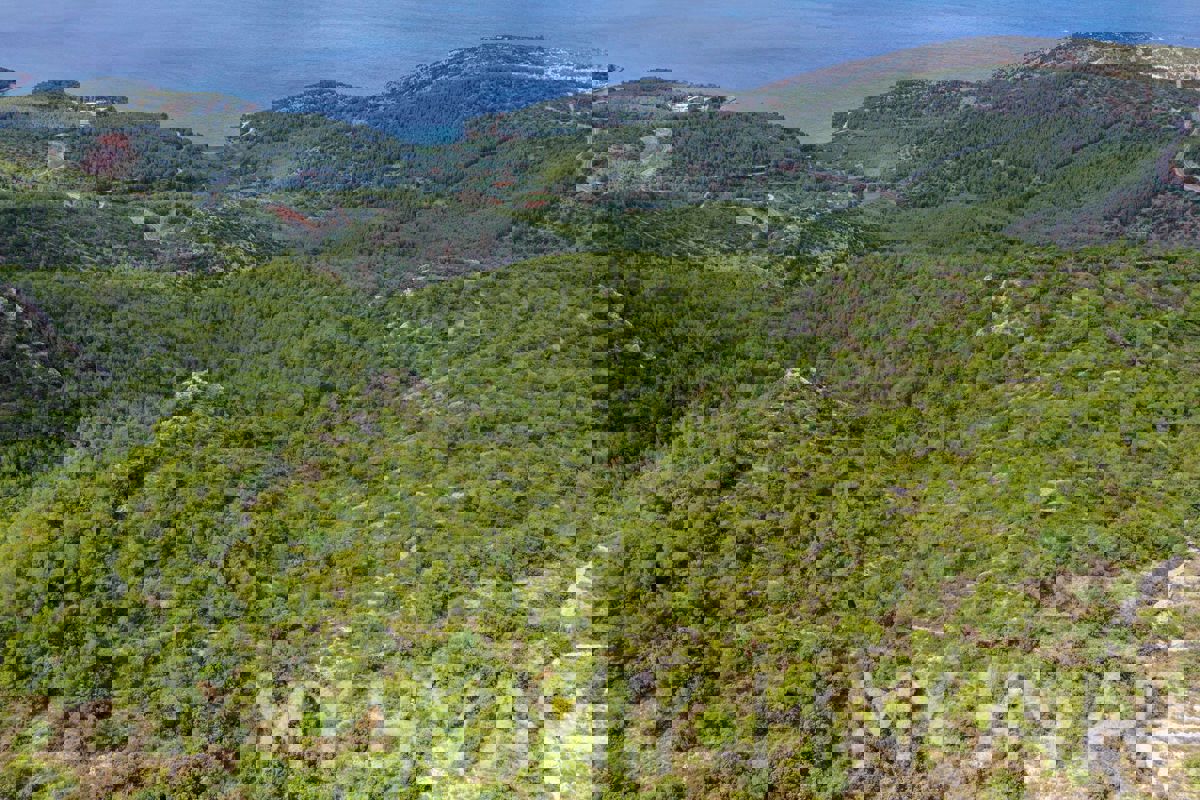 Terreno JELSA, 82.000 €