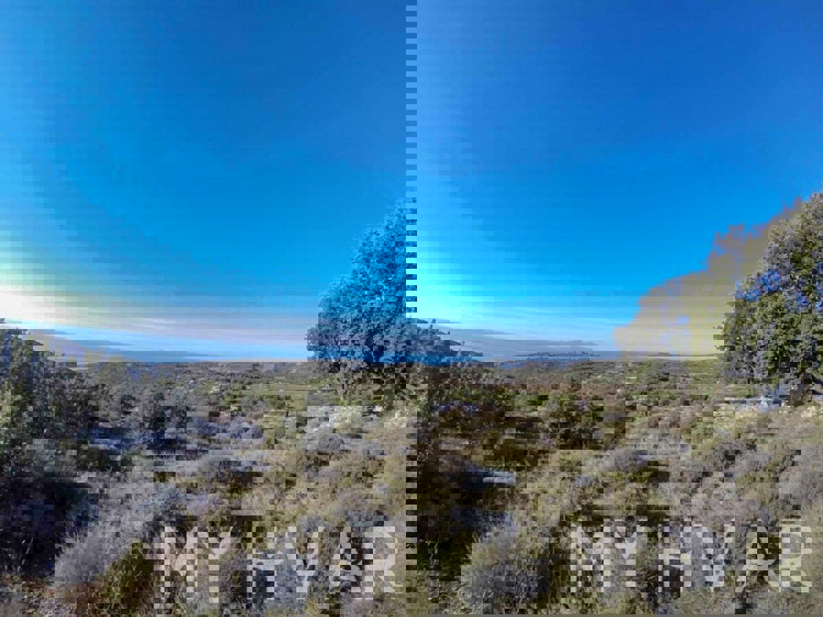 SELCA KOD STAROG GRADA