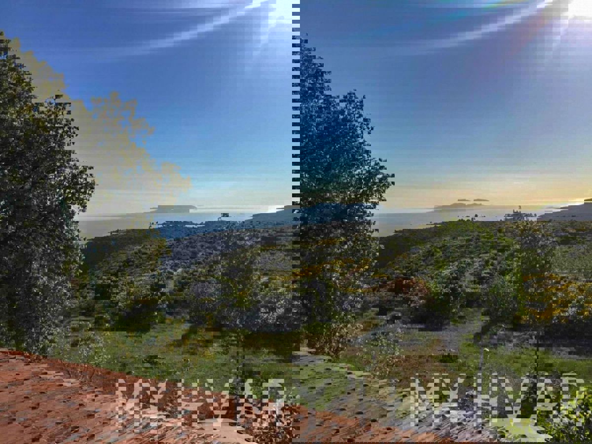 SELCA KOD STAROG GRADA