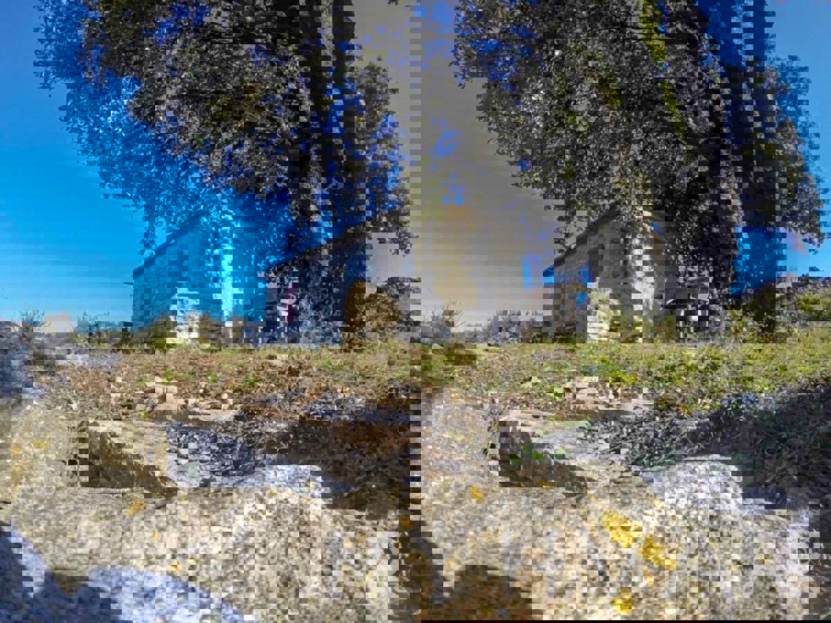 SELCA KOD STAROG GRADA