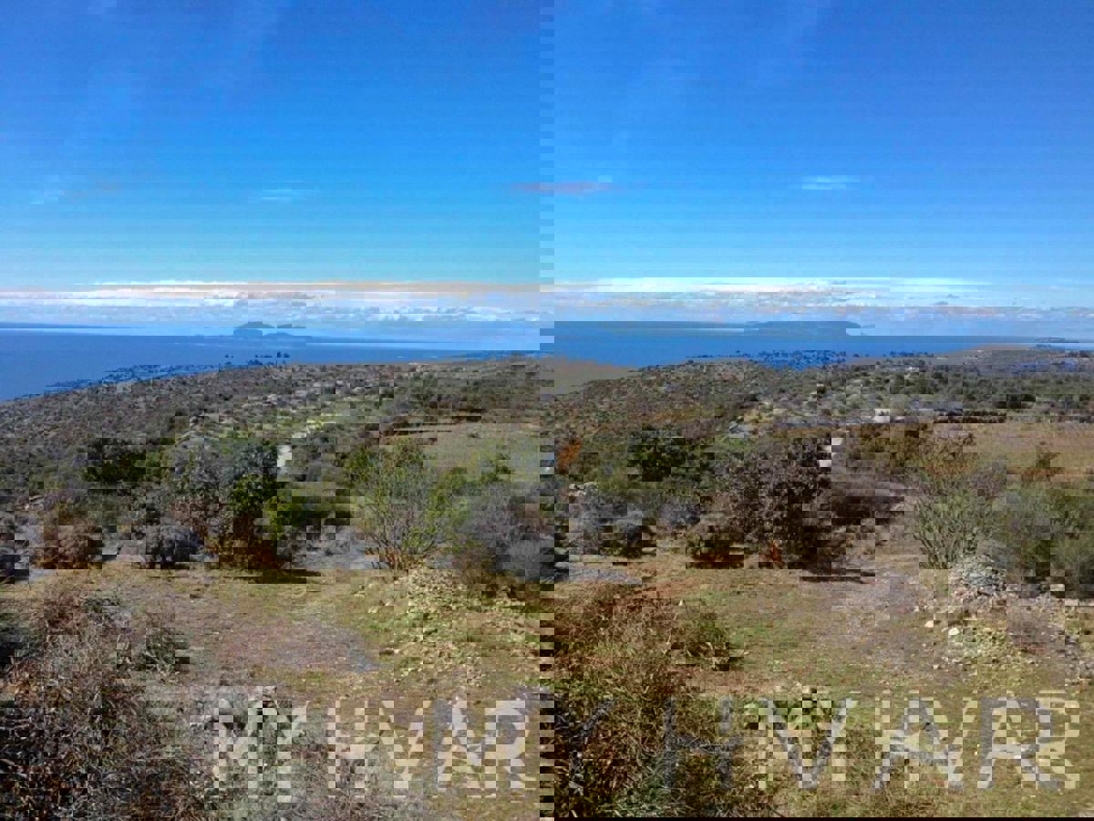 SELCA KOD STAROG GRADA