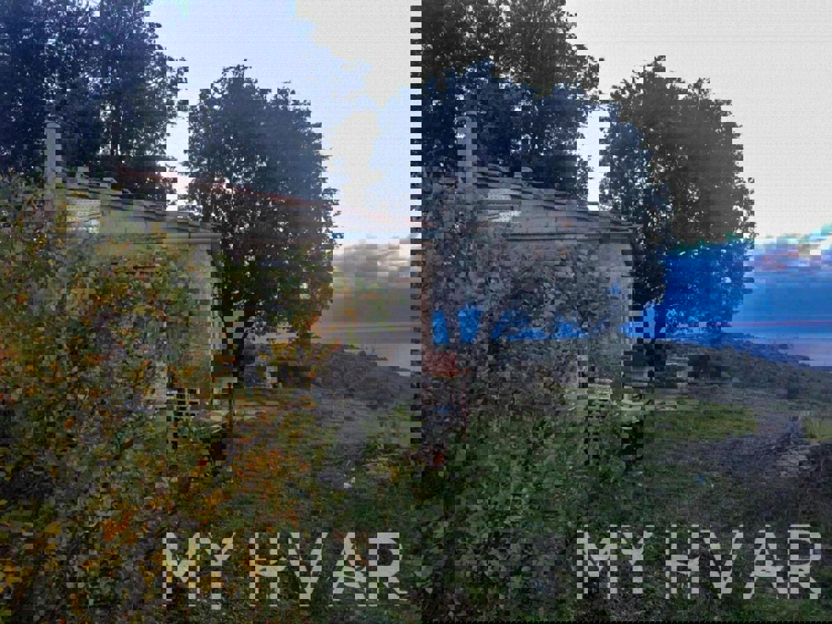 SELCA KOD STAROG GRADA