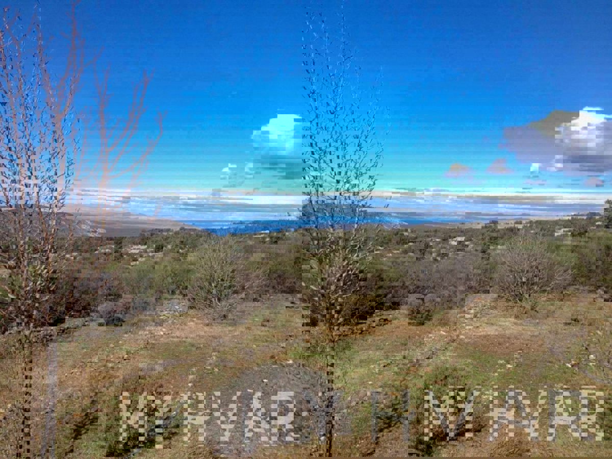 SELCA KOD STAROG GRADA