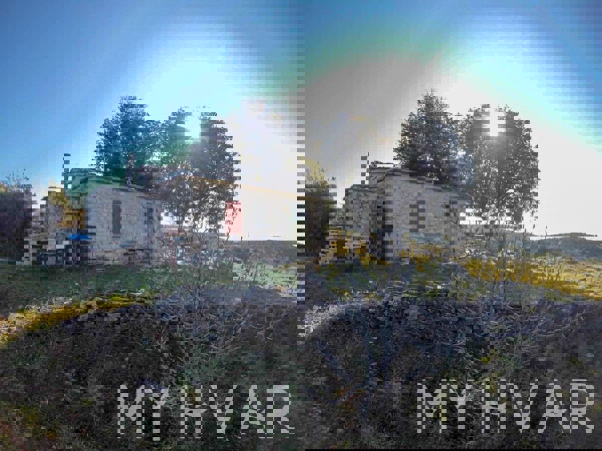 SELCA KOD STAROG GRADA