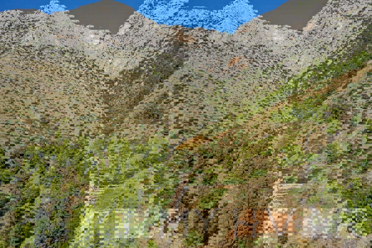 Terreno JELSA, 25.000 €