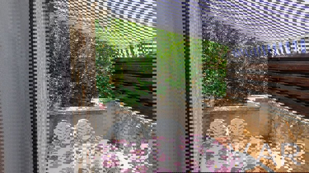 SELCA KOD STAROG GRADA