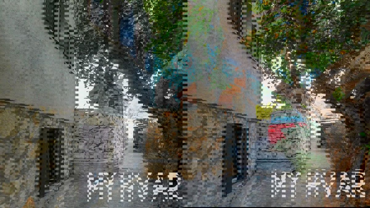 SELCA KOD STAROG GRADA