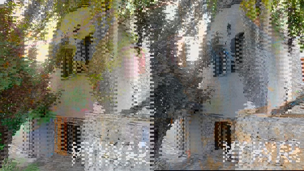 SELCA KOD STAROG GRADA