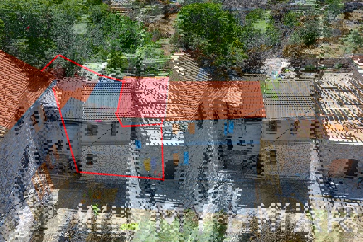 SELCA KOD STAROG GRADA