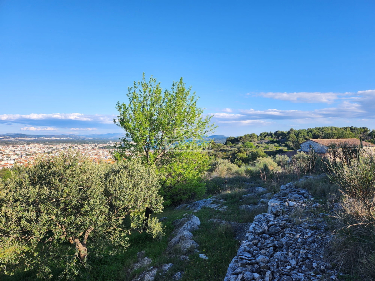 VODICE