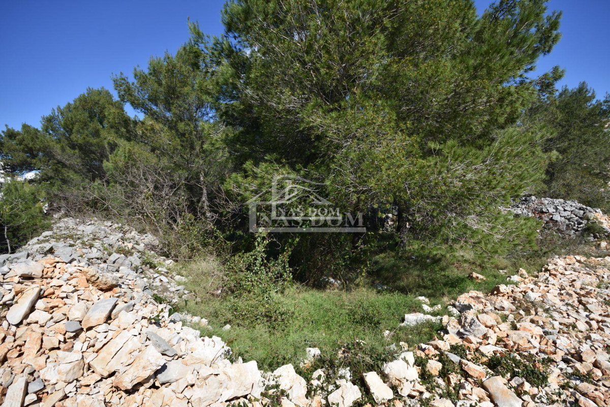 VODICE