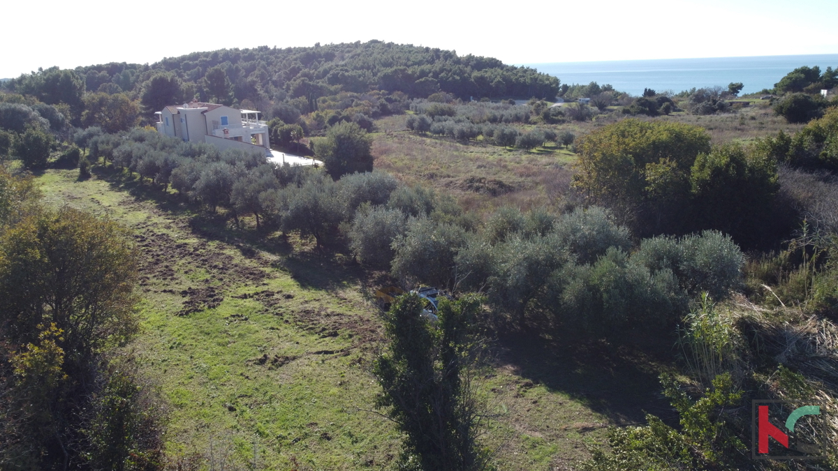 PREMANTURA