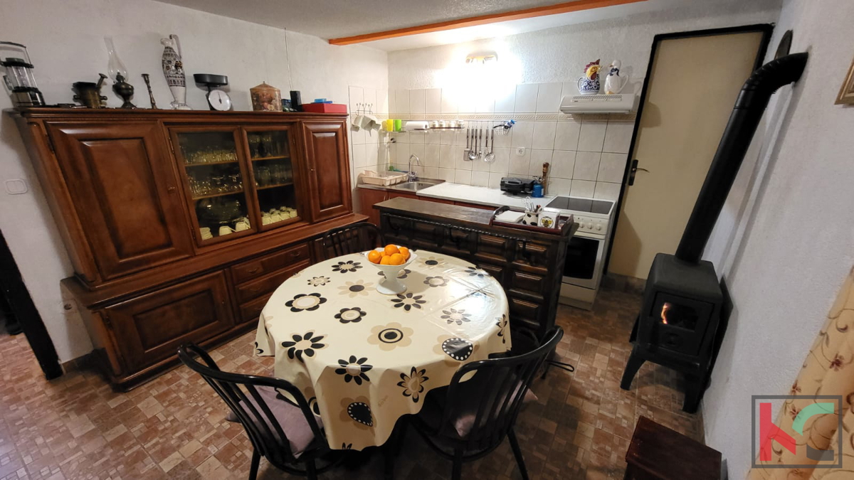 PAVIĆINI