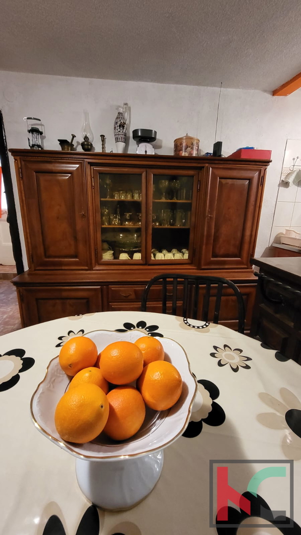 PAVIĆINI