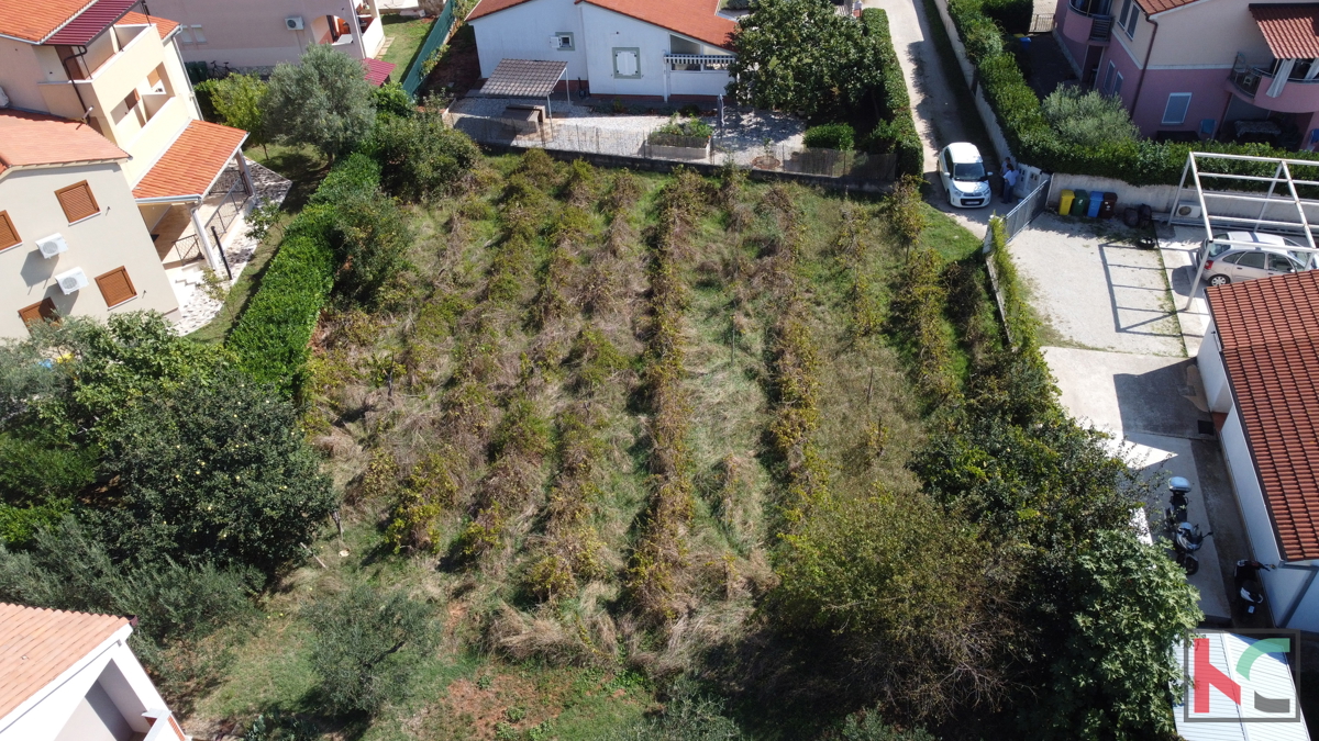 FAŽANA