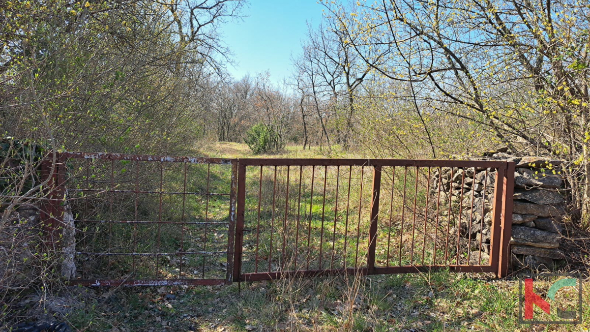 Terreno MARČANA, 174.000 €