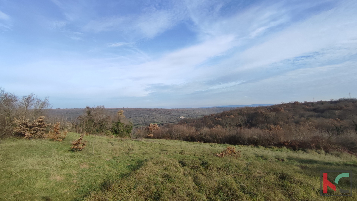 KRNICA