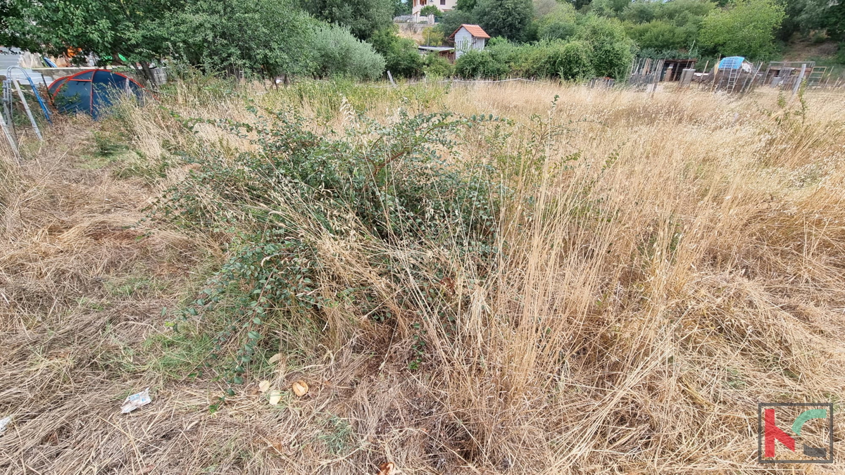 LOBORIKA