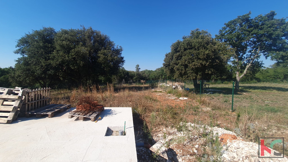 PULA