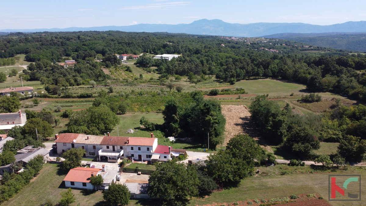 ŽMINJ