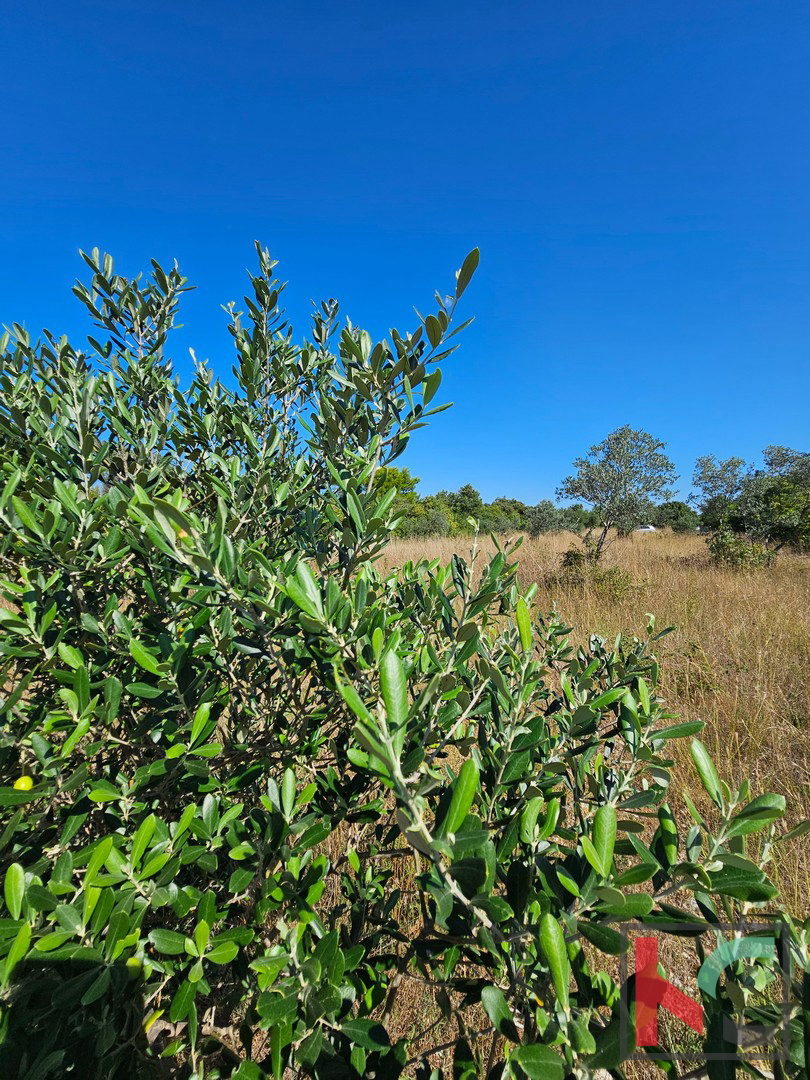 Terreno FAŽANA, 65.000 €