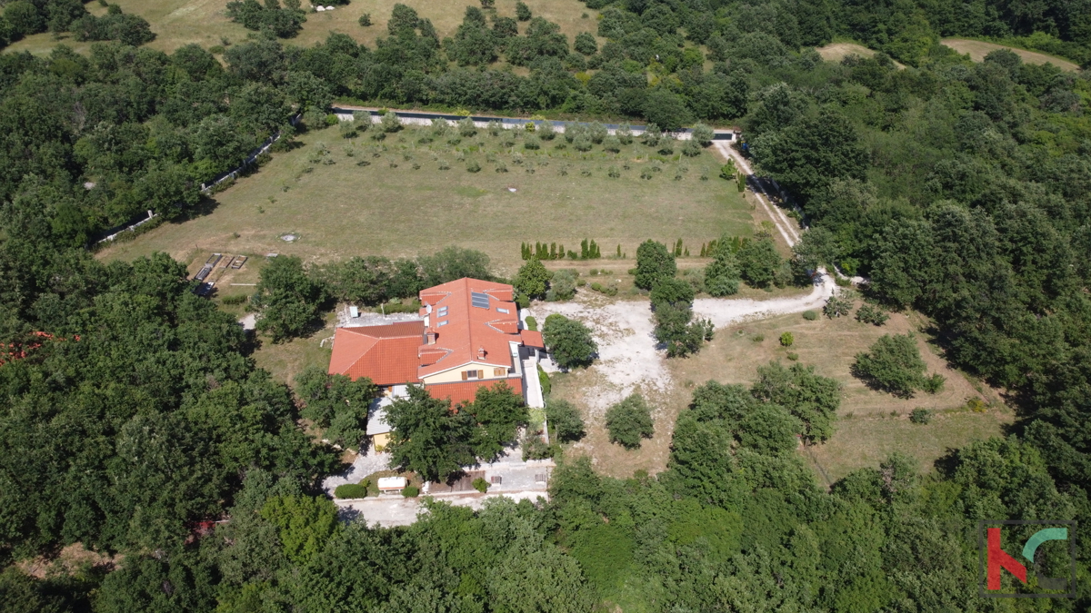image 39
