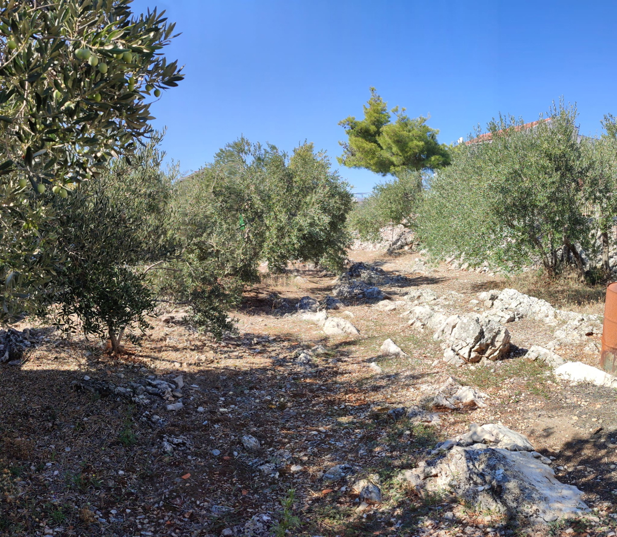 VODICE