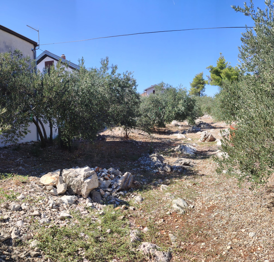 VODICE