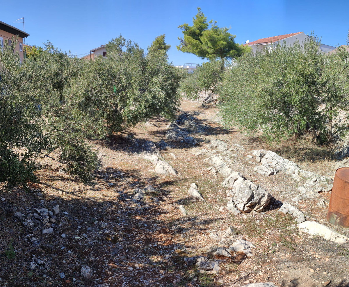 VODICE