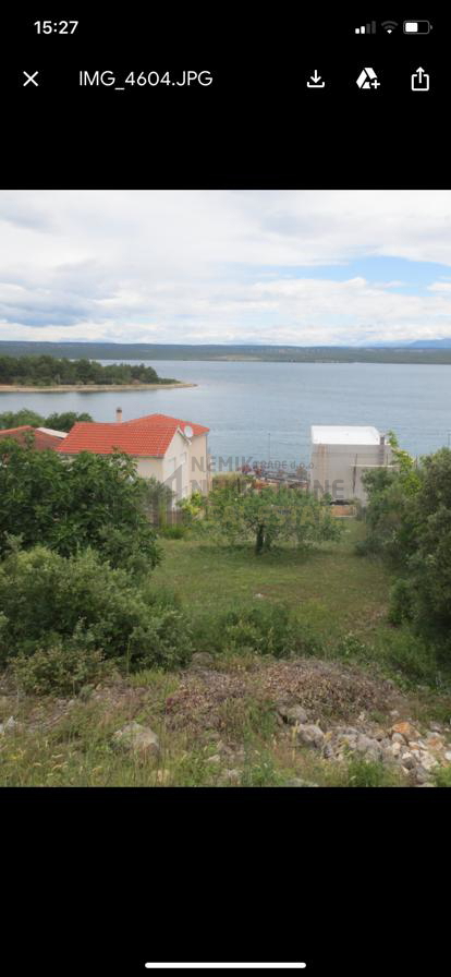 RASLINA
