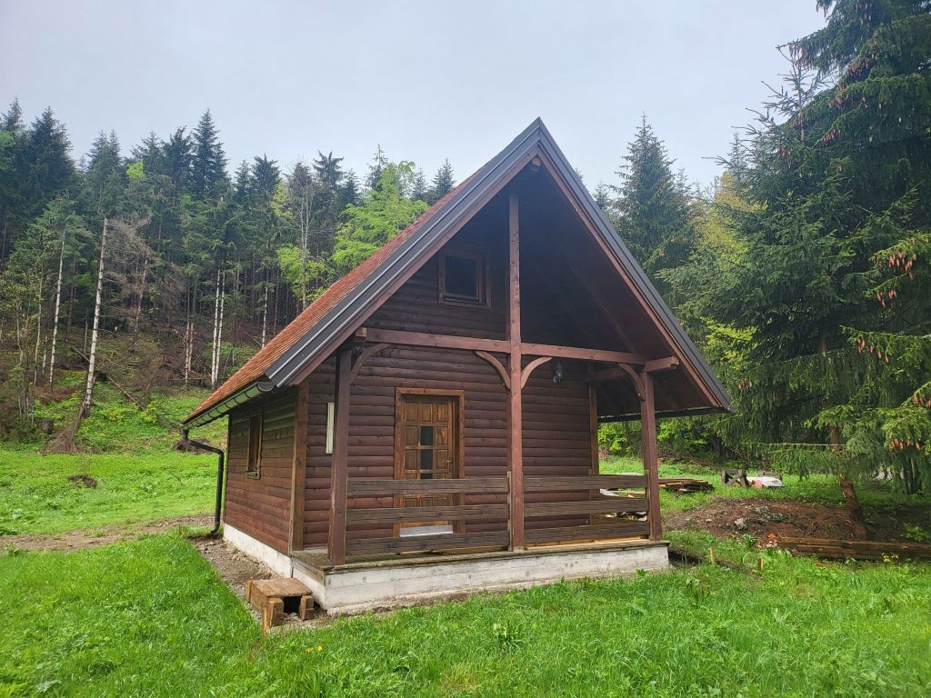 RAVNA GORA
