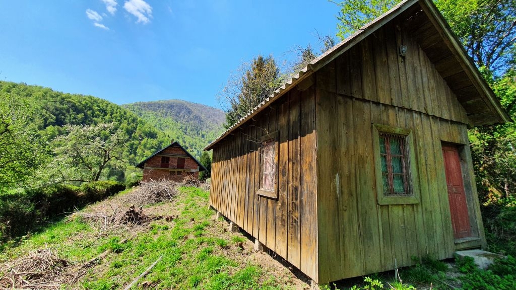 KUŽELJ
