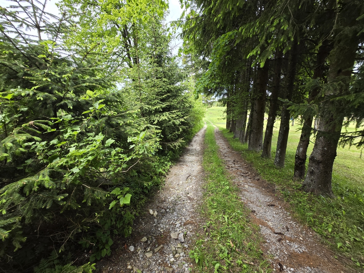 image 14