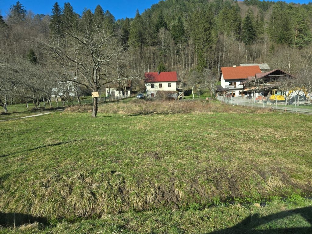 IŠEVNICA