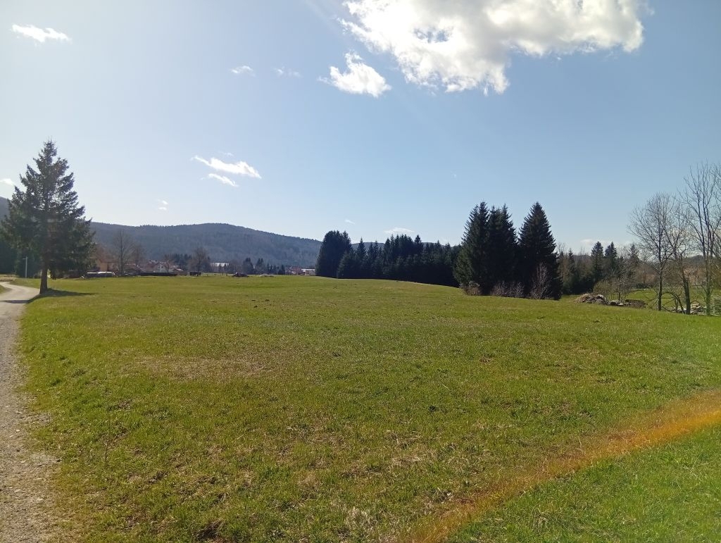 RAVNA GORA