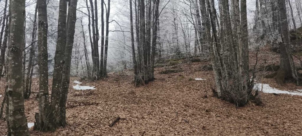 Участок RAVNA GORA, 69.000 €